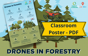 Drones in Forestry - Classroom Poster pdf