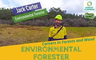 Grow a Career as an Environmental Forester
