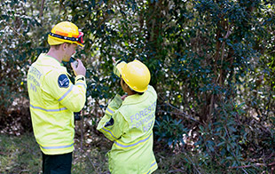 Socio-Political Issues in Forestry