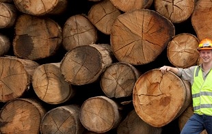 Consumer requirements for commercial plant products