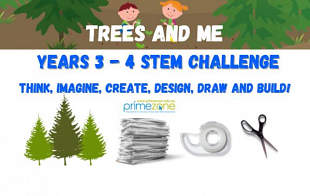 STEM Challenge 'Trees and Me' - Years 3/4
