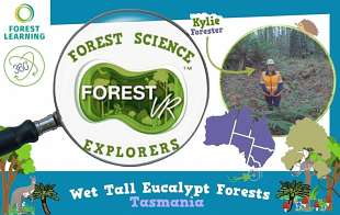Forest Science Explorers - Wet Tall Eucalypt Forests: Tasmania